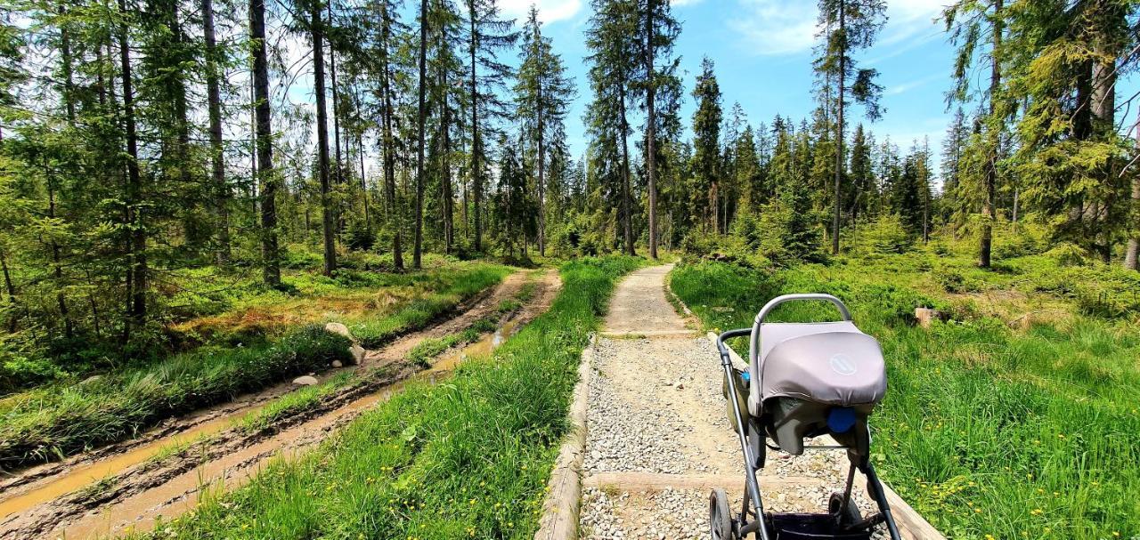 Eco Domek Z Duzym Ogrodem I Widokiem مورزاسيخله المظهر الخارجي الصورة