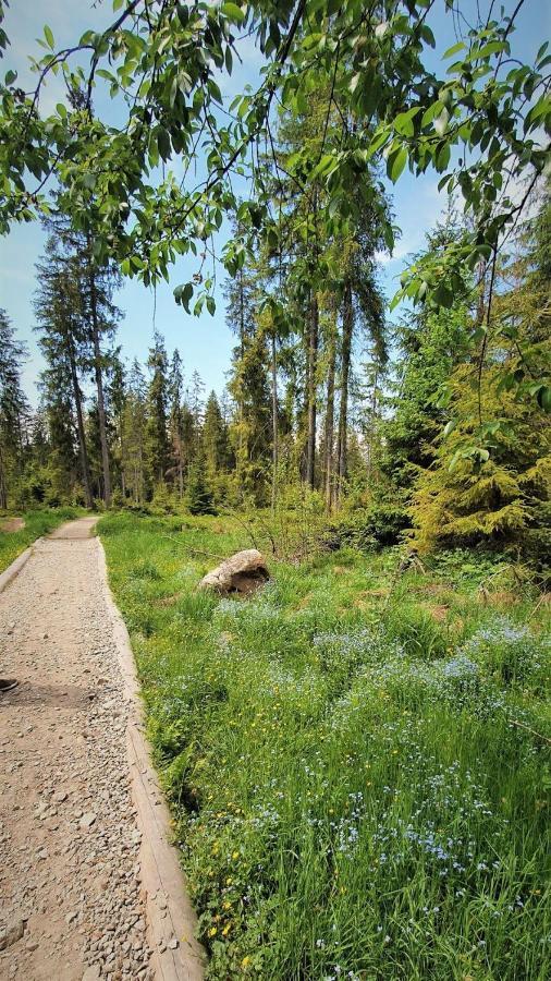 Eco Domek Z Duzym Ogrodem I Widokiem مورزاسيخله المظهر الخارجي الصورة
